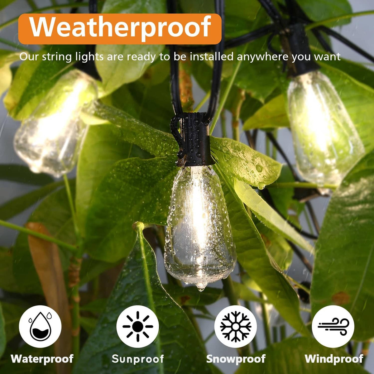 Outdoor string lights with clear bulbs on black wire, hanging among green leaves
