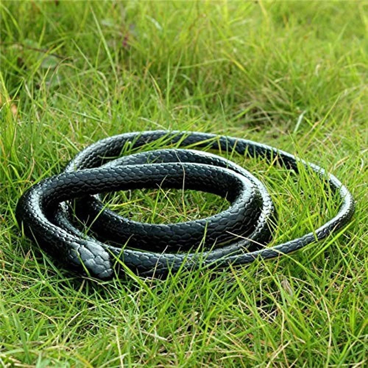 Coiled black rubber toy snake with textured scale pattern on green grass