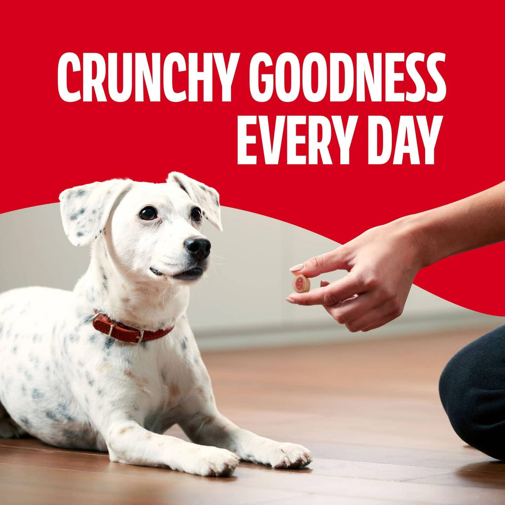 White dog reaching for crunchy dog treats as a hand offers a snack