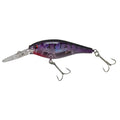 Berkley Flicker Shad crankbait, purple tiger pattern with clear lip and three treble hooks