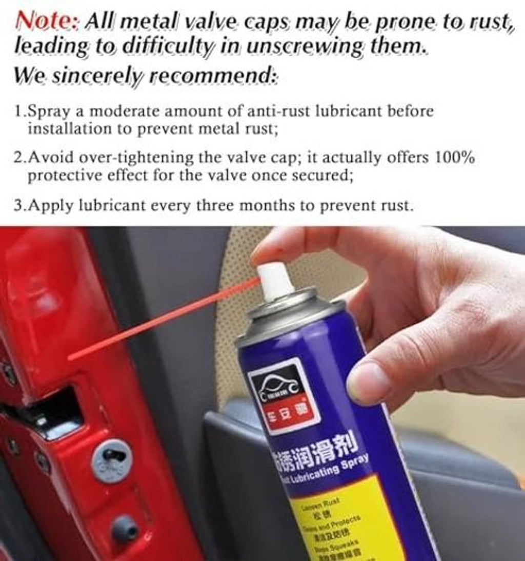 Anti-rust lubricant spray applied near a tire valve cap on a vehicle wheel
