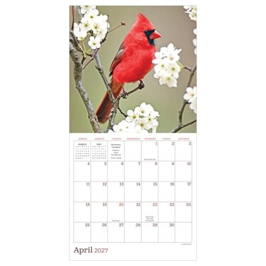 Backyard Birds 2027 mini calendar page for April 2027 with red cardinal and blossoms