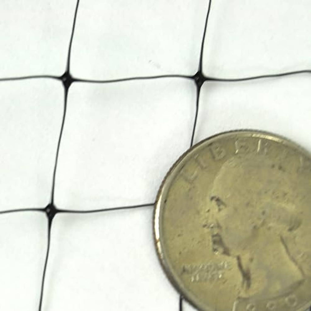 Protective mesh grid with coin for scale, showing small openings