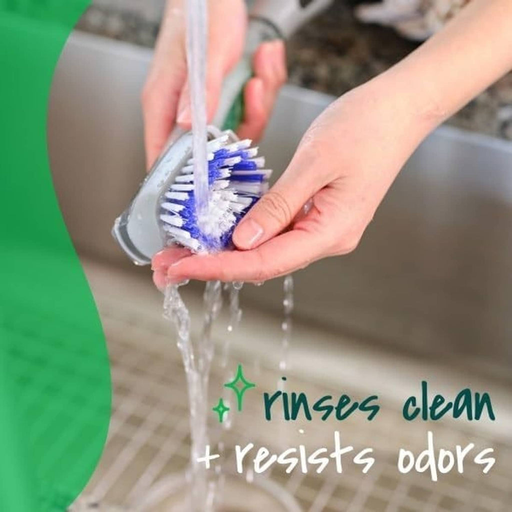 Replaceable dish brush head rinsed under water with blue-and-white bristles