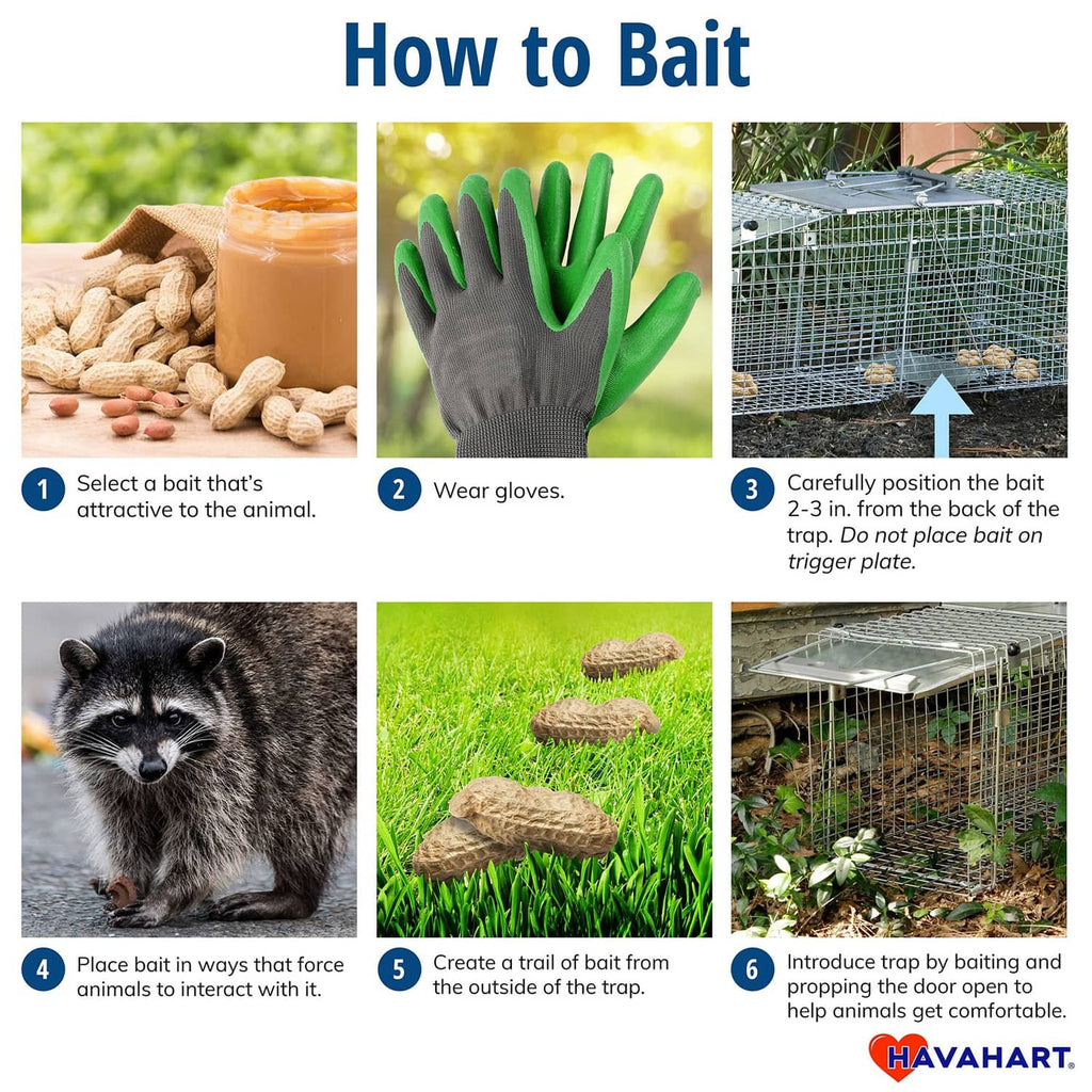 Havahart live trap baiting guide icons for selecting bait and setting trigger