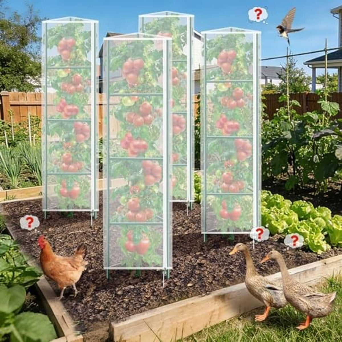 Set of tall white mesh plant cover nets for tomato cages in a garden bed.