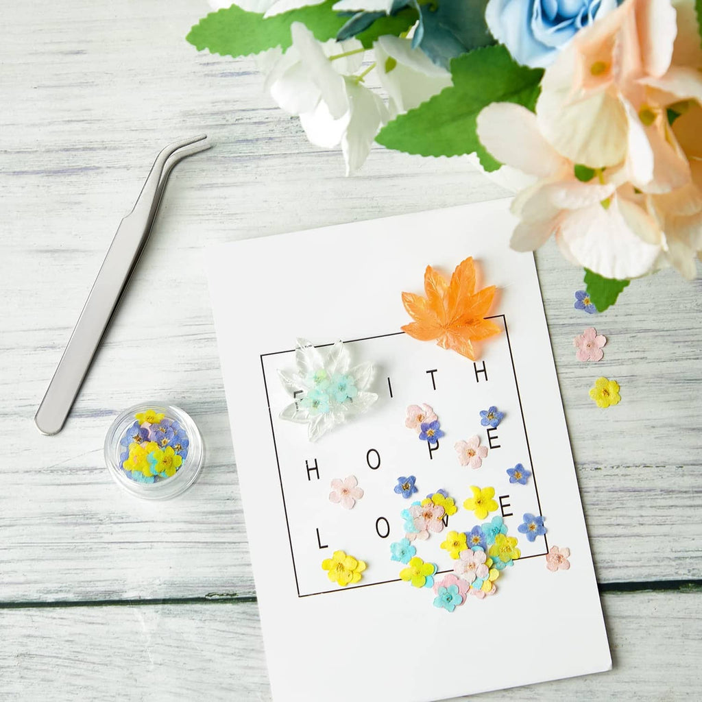 Pressed forget-me-not flowers scattered around on a white card for decoration