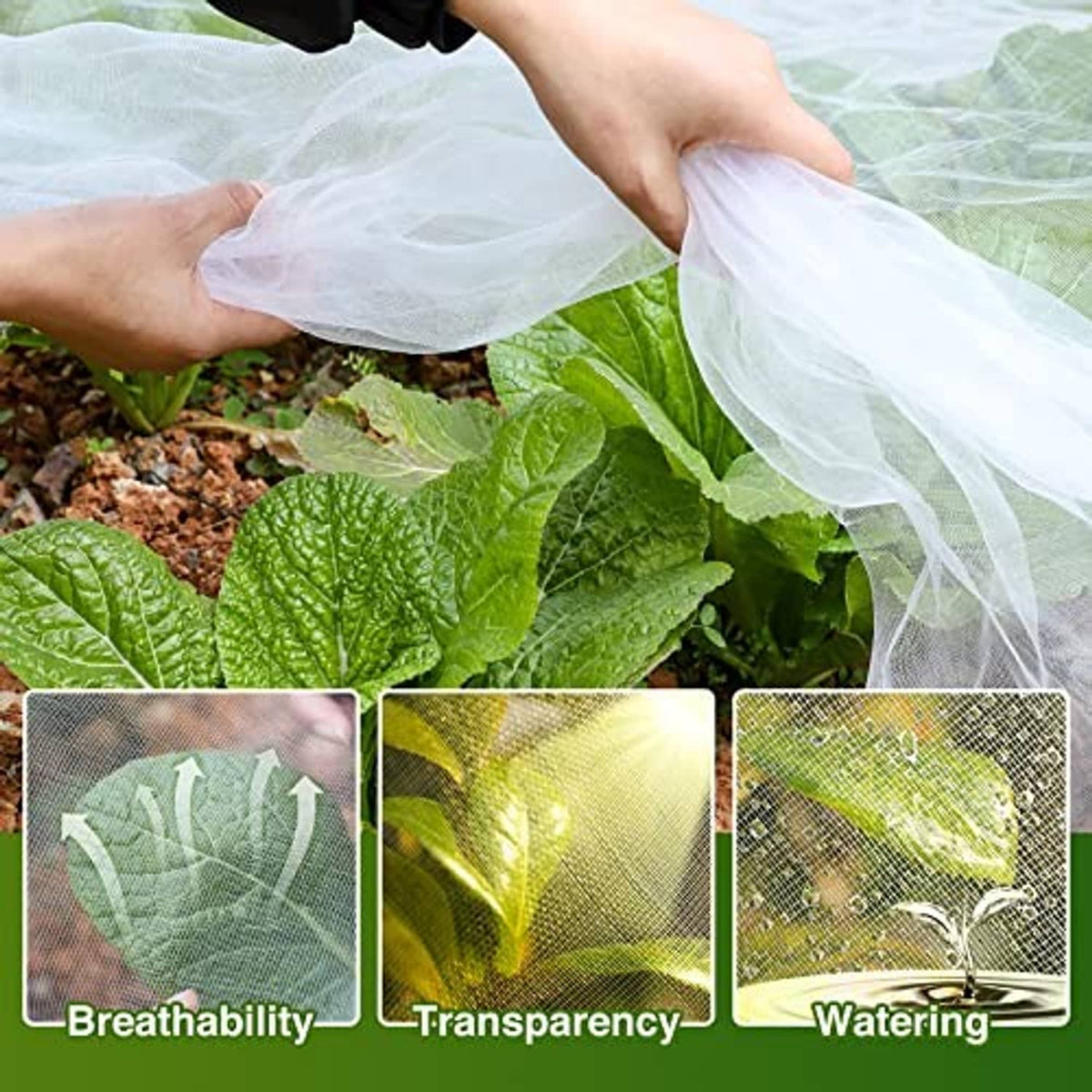 Garden mesh netting barrier, hands stretching white mesh over leafy plants