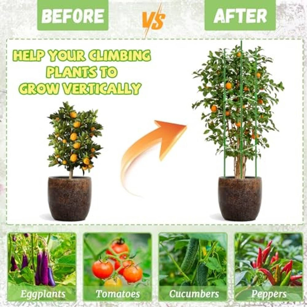 Tomato cage plant support helping climbing plants grow upright