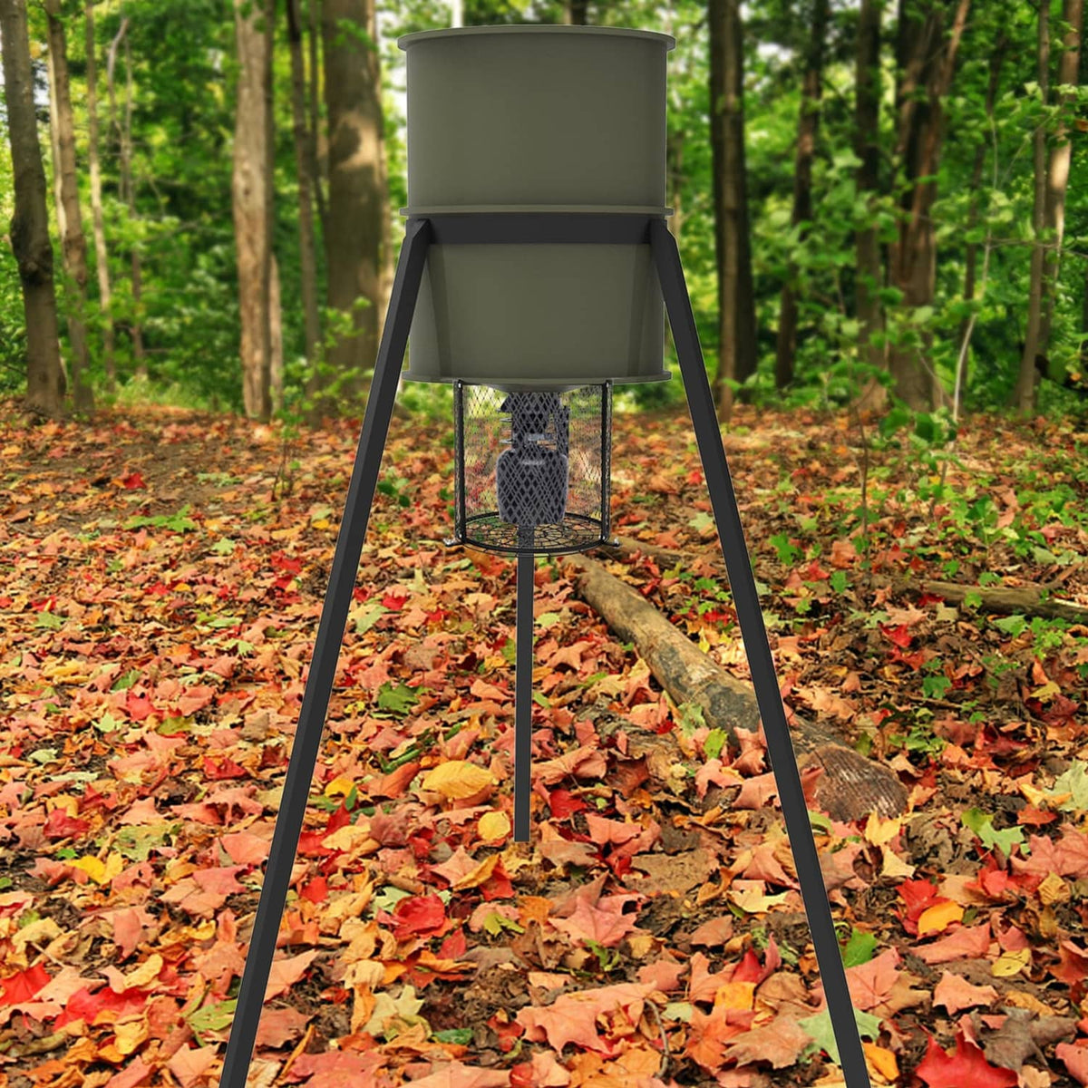 Black wire varmint guard deer feeder with green hopper on three tripod legs