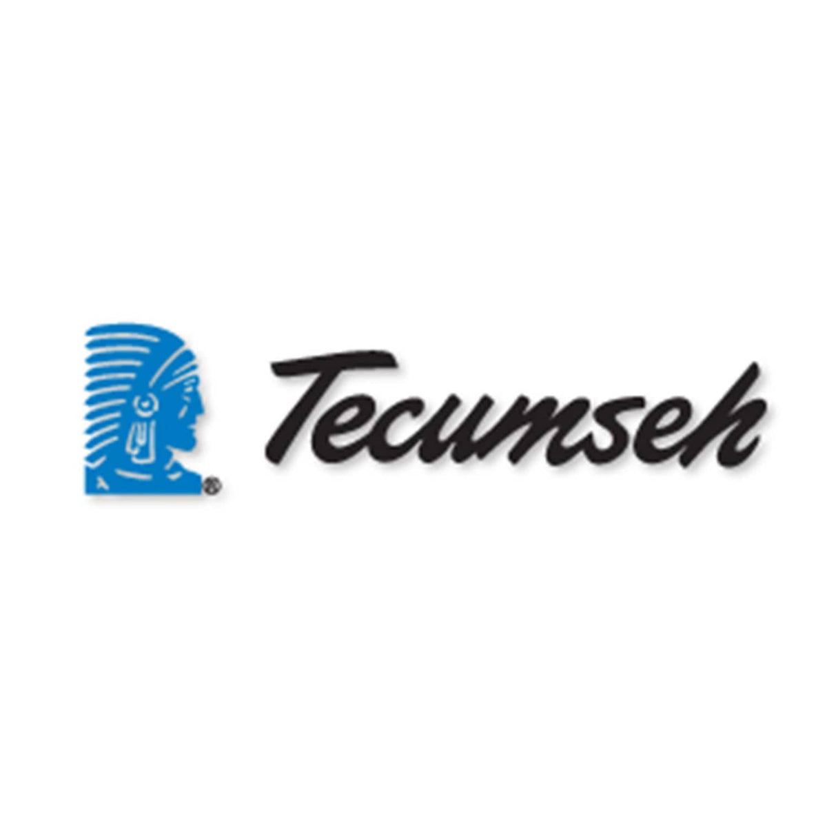 Tecumseh logo graphic with blue engine emblem and black script