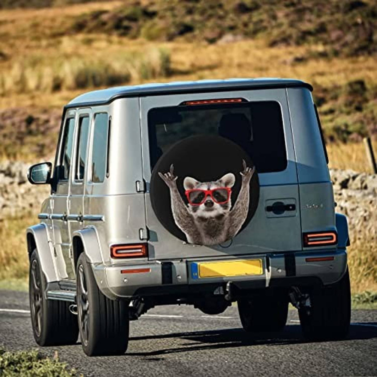 Black spare tire cover with raccoon face in red glasses on rear wheel