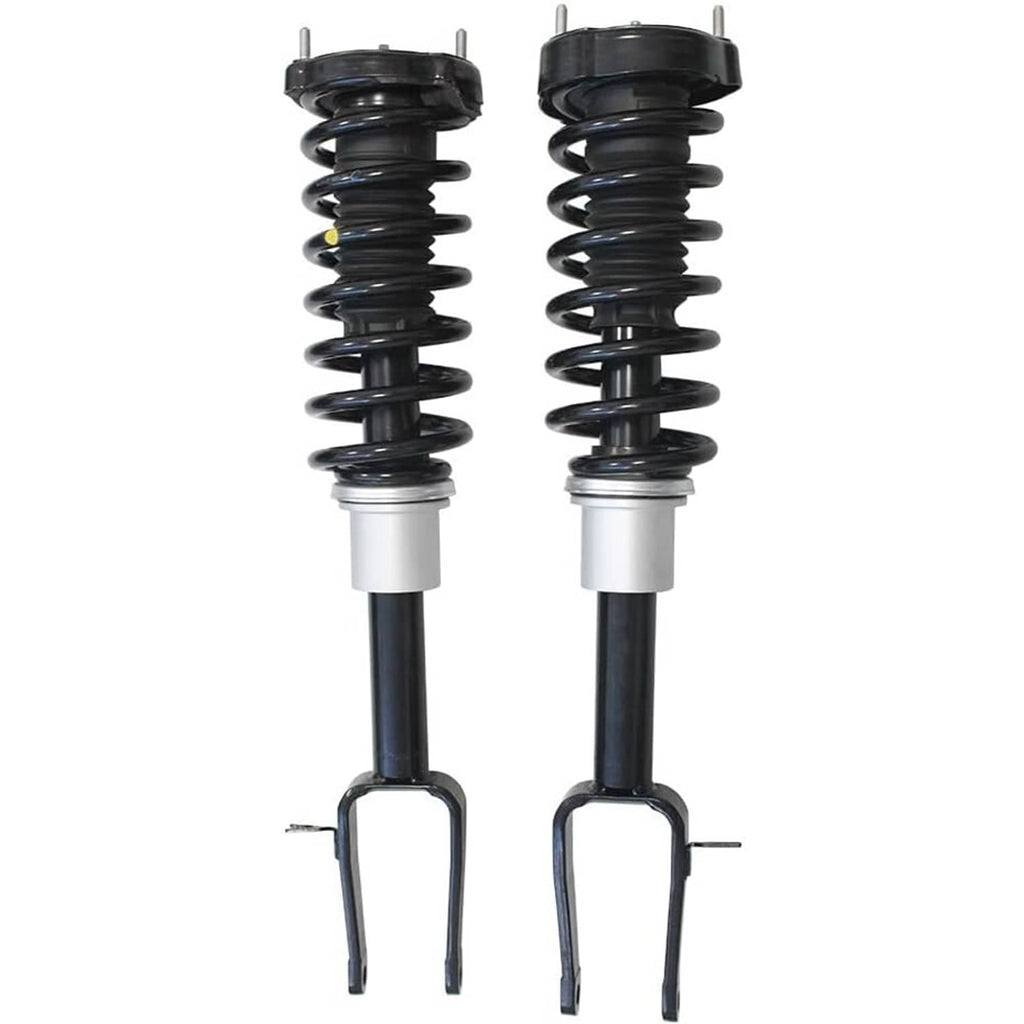 Two front shock struts with black coil springs and silver top caps on black rods
