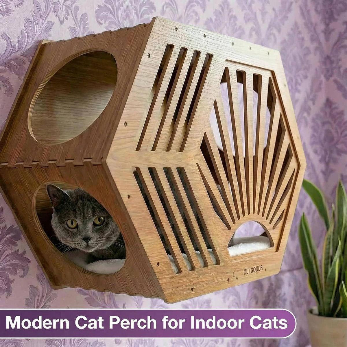 Hexagonal wood cat house shelf with slatted front and arched entry, cat inside
