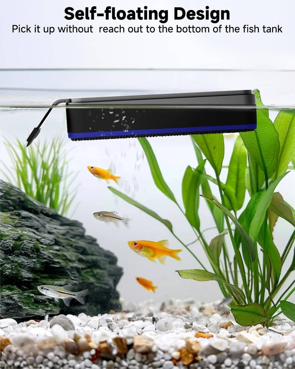 Self-floating magnetic glass cleaner with blue trim on aquarium glass