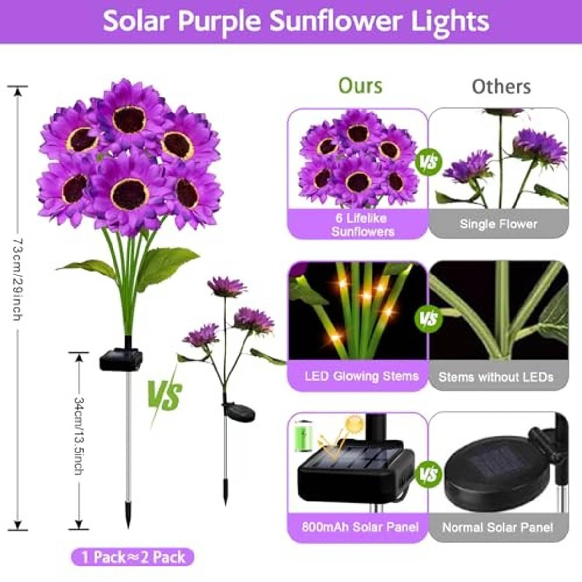 Purple solar sunflower light comparison graphic with illustrated blooms and black stakes