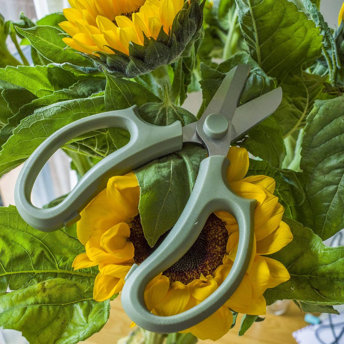Green flower scissors cutting around sunflower petals in a bouquet