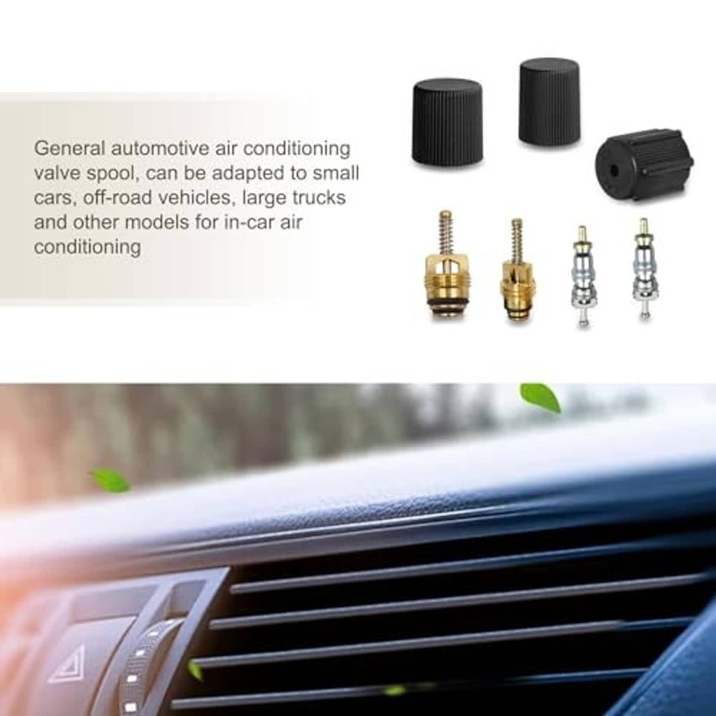 HVAC valve core and cap kit set with brass, silver cores and black caps