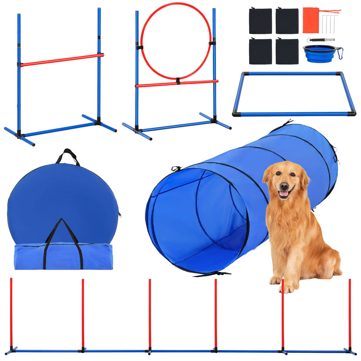 Dog agility training set with blue tunnel, hoop jump frame, jump bars, and carry bag