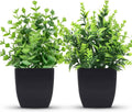 Set of two small faux plants in black pots with leafy green foliage