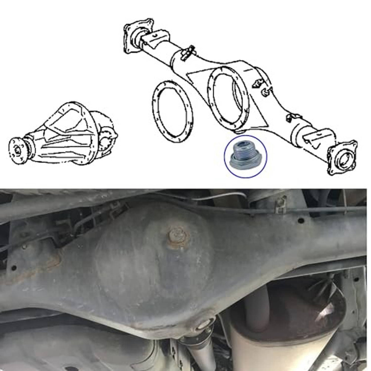 Axle housing undercar diagram with highlighted rear differential drain plug