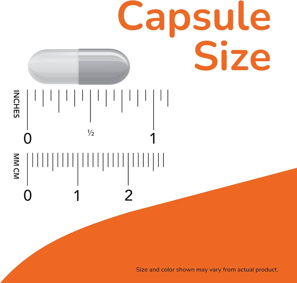 Gel capsule shown above measurement ruler graphic for capsule size