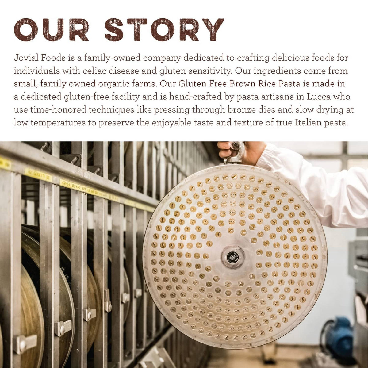 Round pasta press wheel for gluten-free lasagna noodles