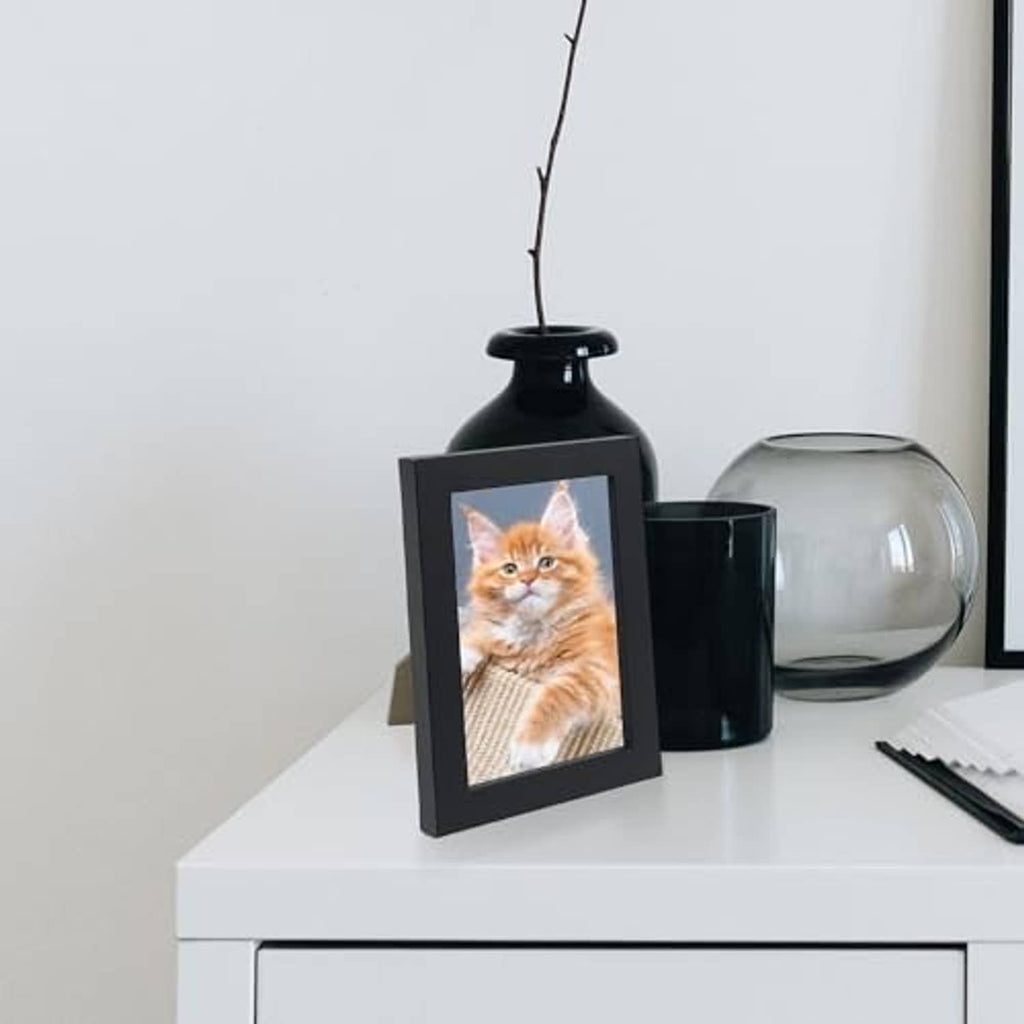 4x6 picture frame in dark finish holding a cat photo, tabletop standing style