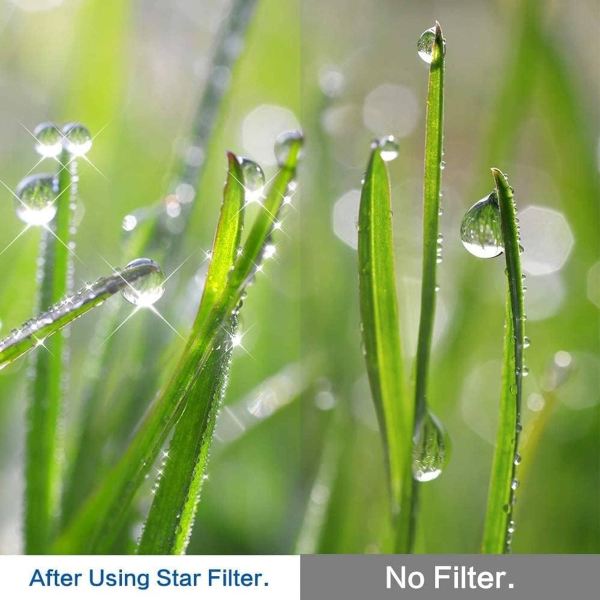 Starburst effect filter creating sparkling star highlights on green grass blades