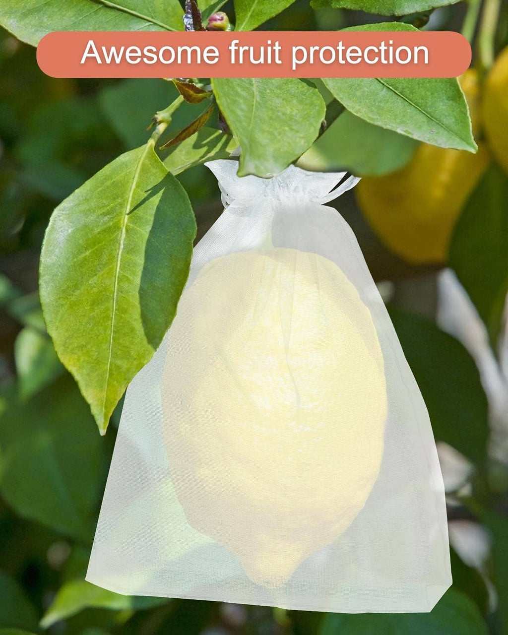 White mesh drawstring bag protecting a lemon on a tree branch