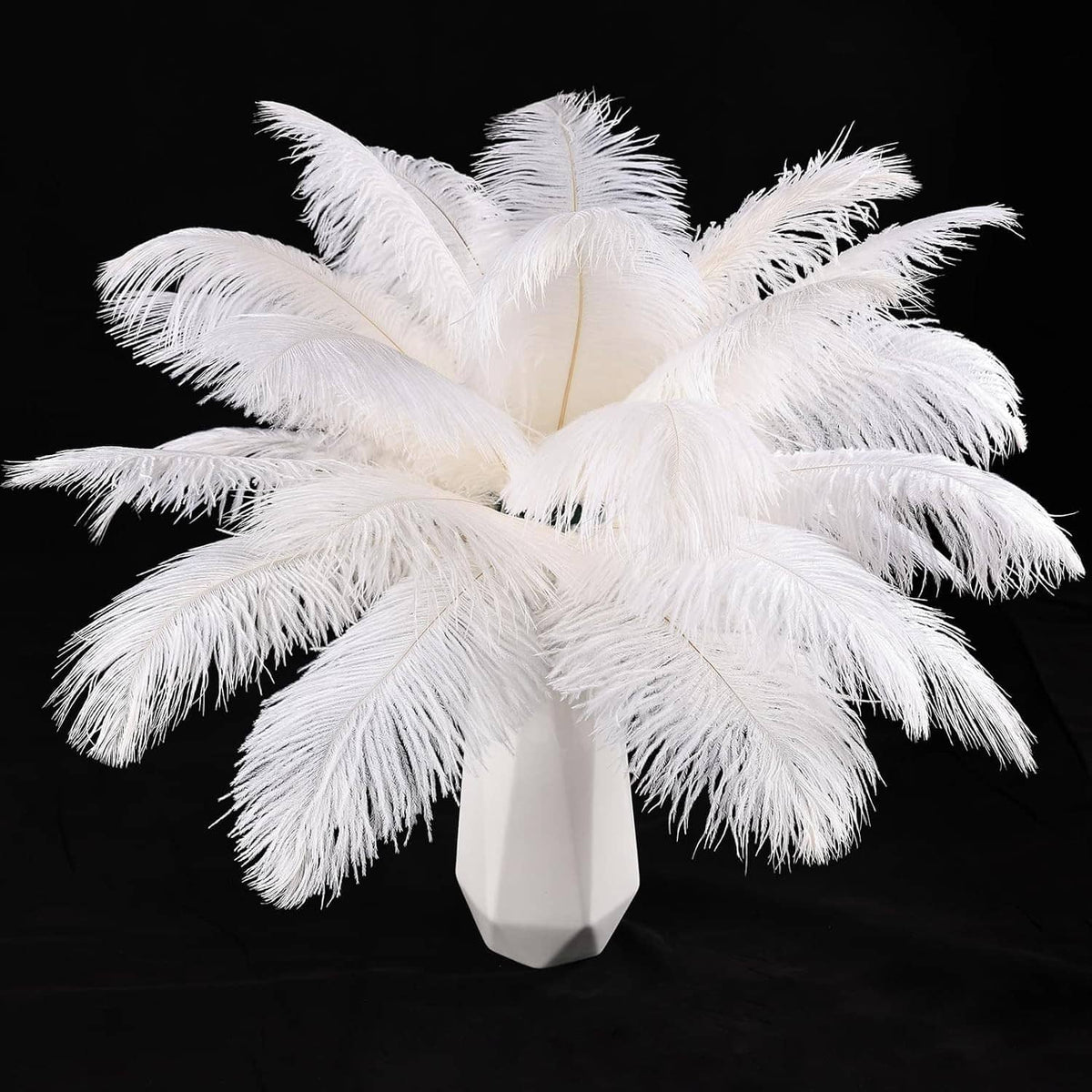 White ostrich feathers bundle with fanned plumes and visible quills, natural soft texture
