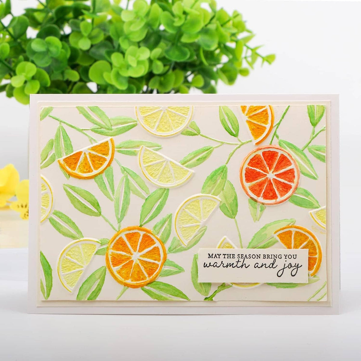 Embossed card panel with citrus slices and leaves, orange and yellow lemons
