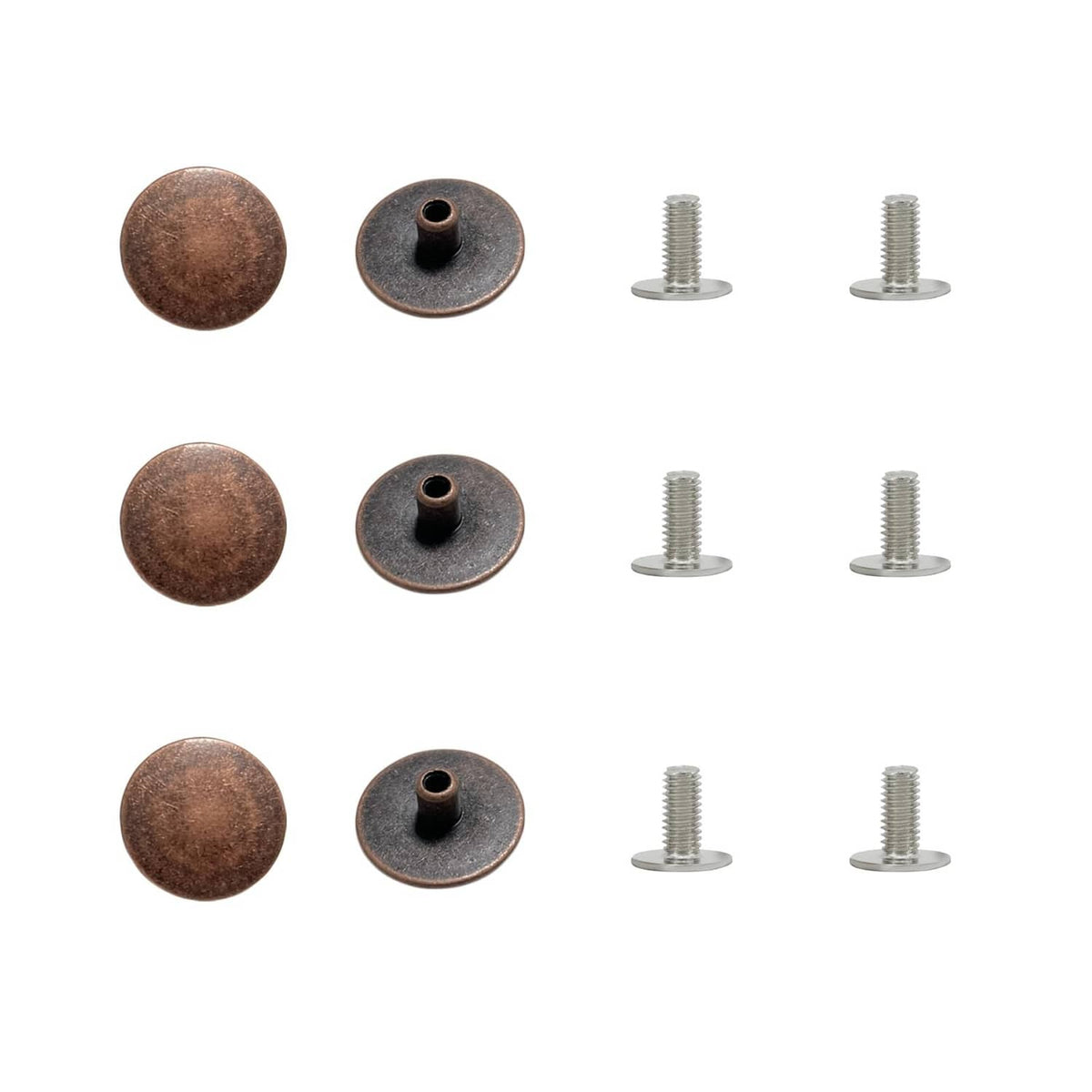 Bronze screw rivets set with round caps, flat washers, and matching screws