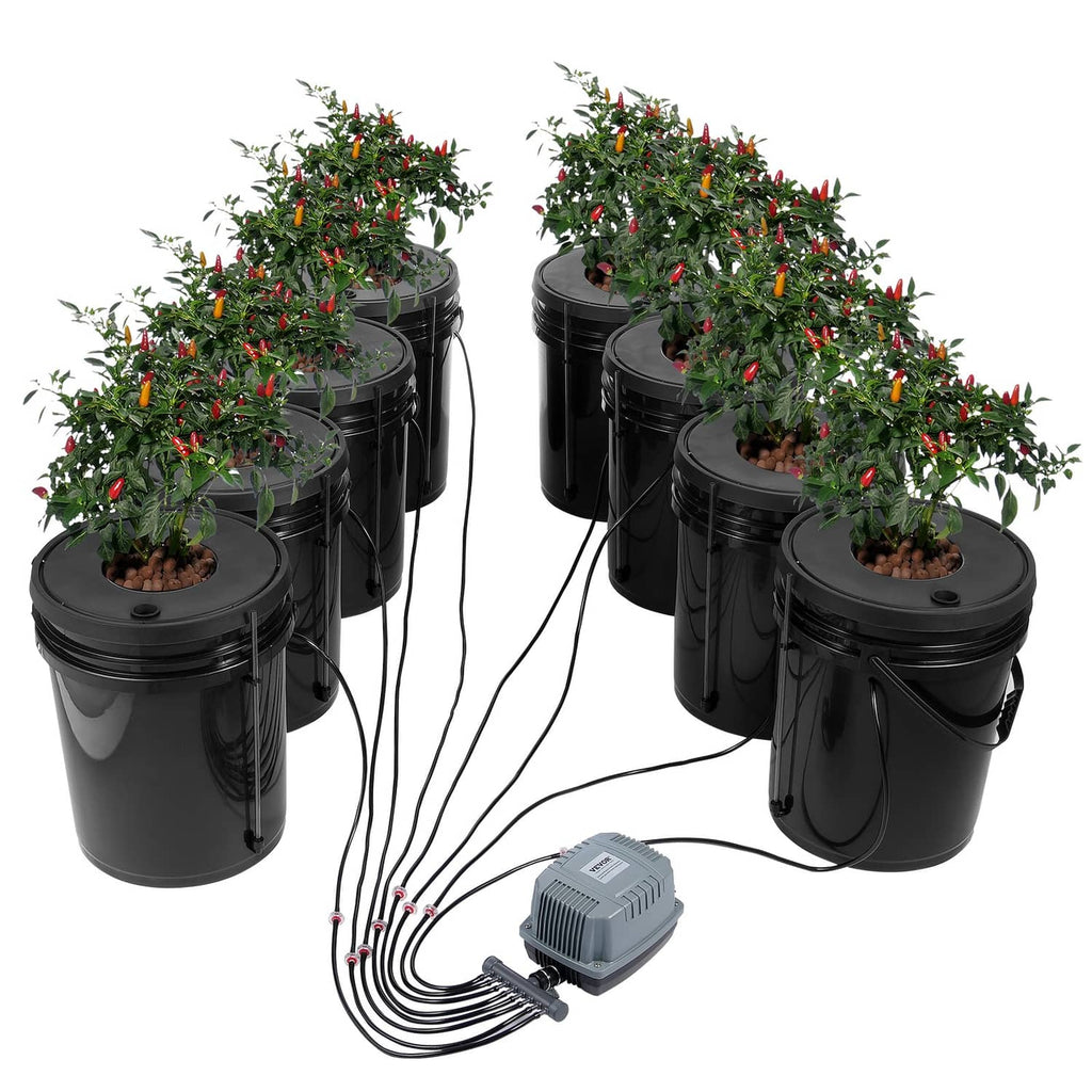Hydroponic DWC system with eight black 5-gallon buckets and air pump with tubing