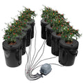 Hydroponic DWC system with eight black 5-gallon buckets and air pump with tubing