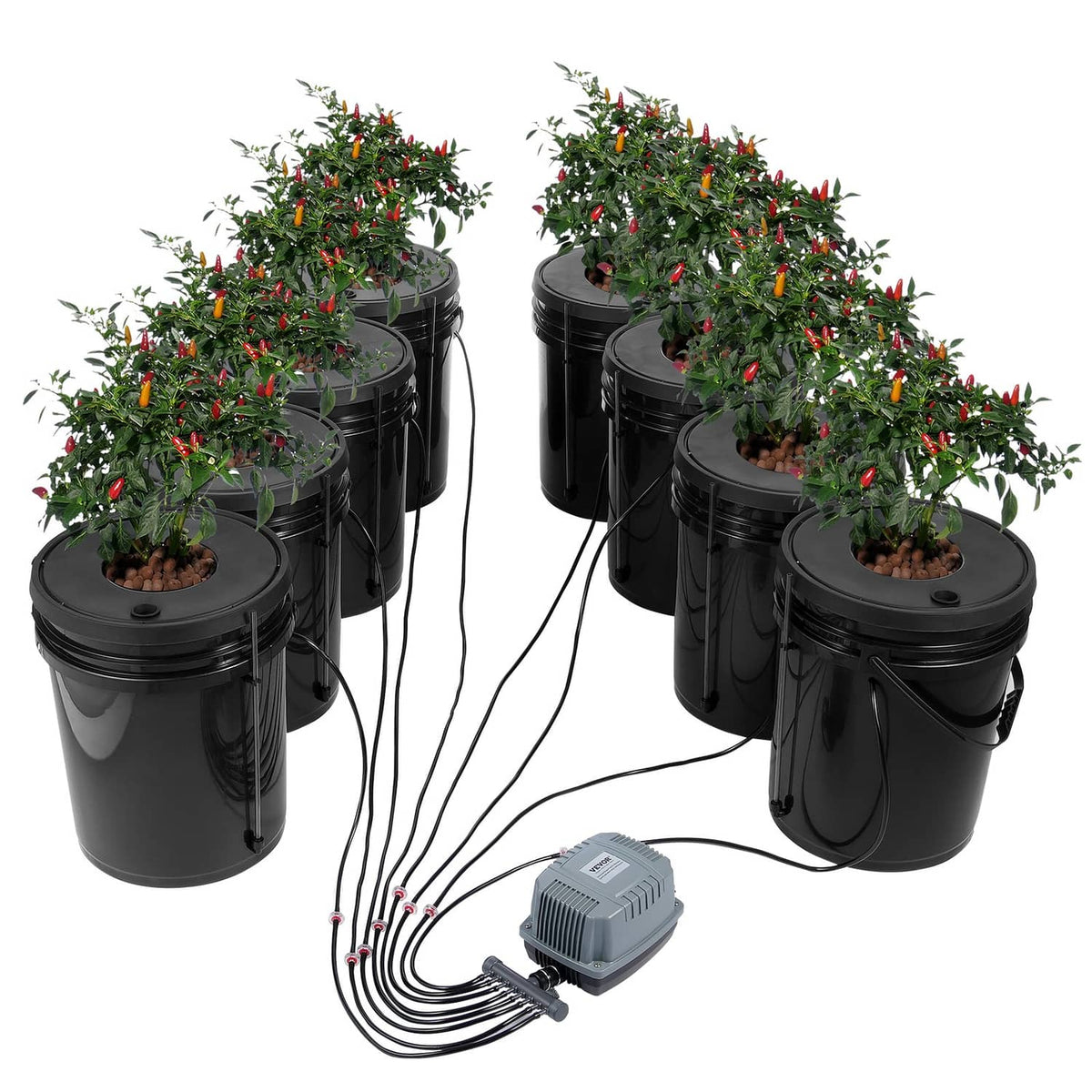 Hydroponic DWC system with eight black 5-gallon buckets and air pump with tubing
