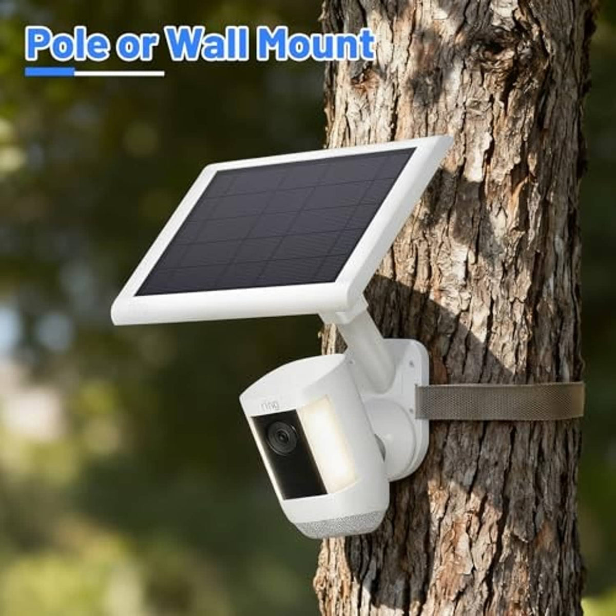 White solar wall mount with rectangular panel and security camera mounted on tree.
