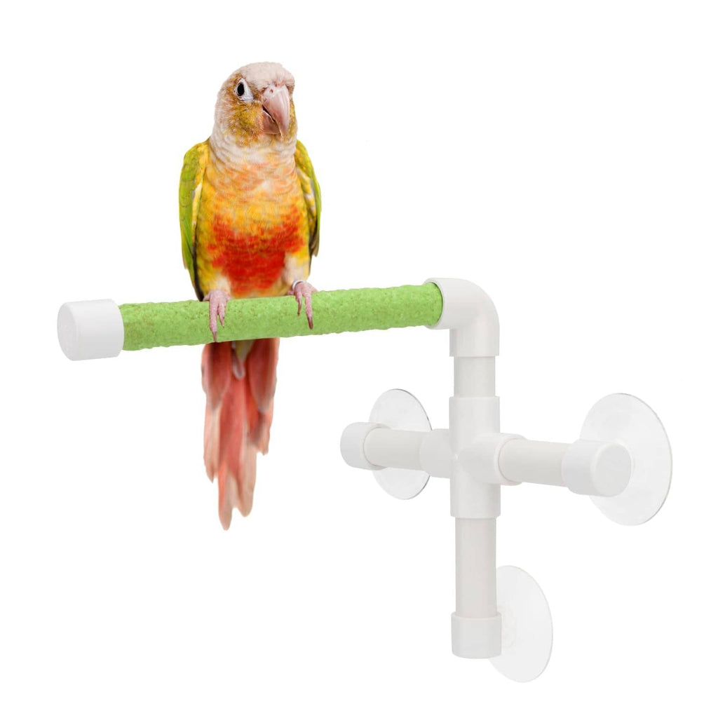 Portable bird window suction perch with green padded rod and white suction mounts, bird perched.