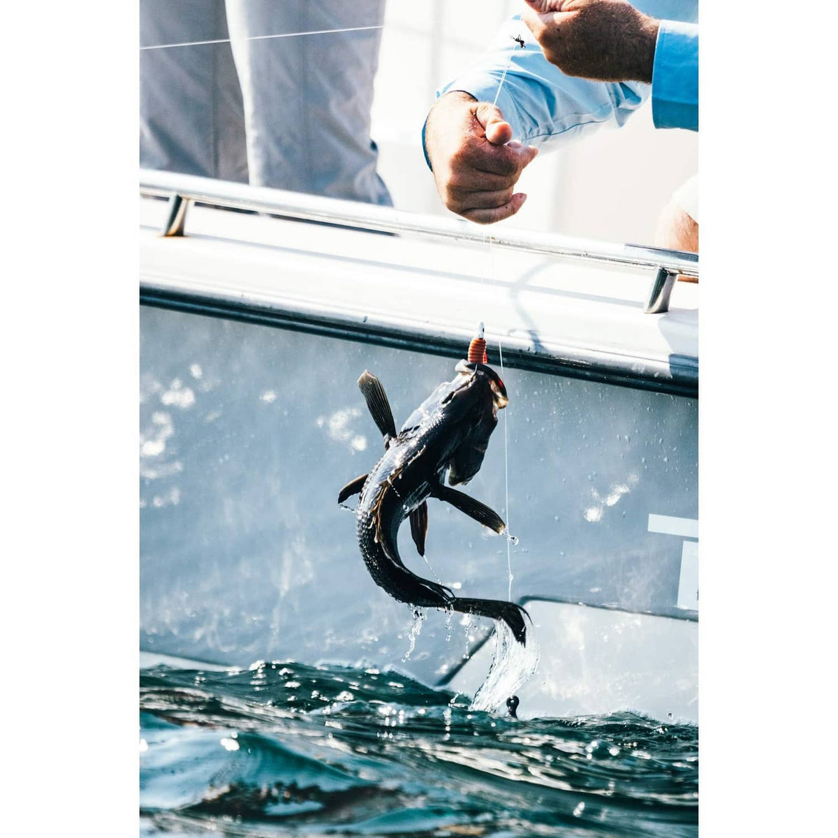 Jumping fish at the surface with a fishing hook and bait