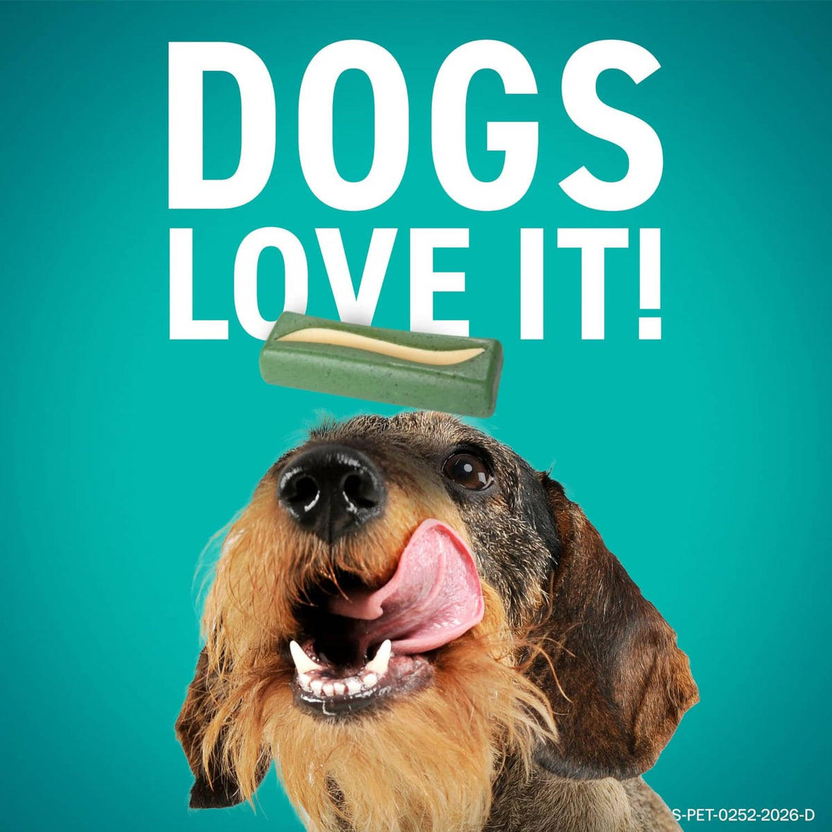 Green dental hygiene chew stick held by a dog