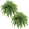 Set of 2 large artificial green ferns with layered fronds, realistic texture.
