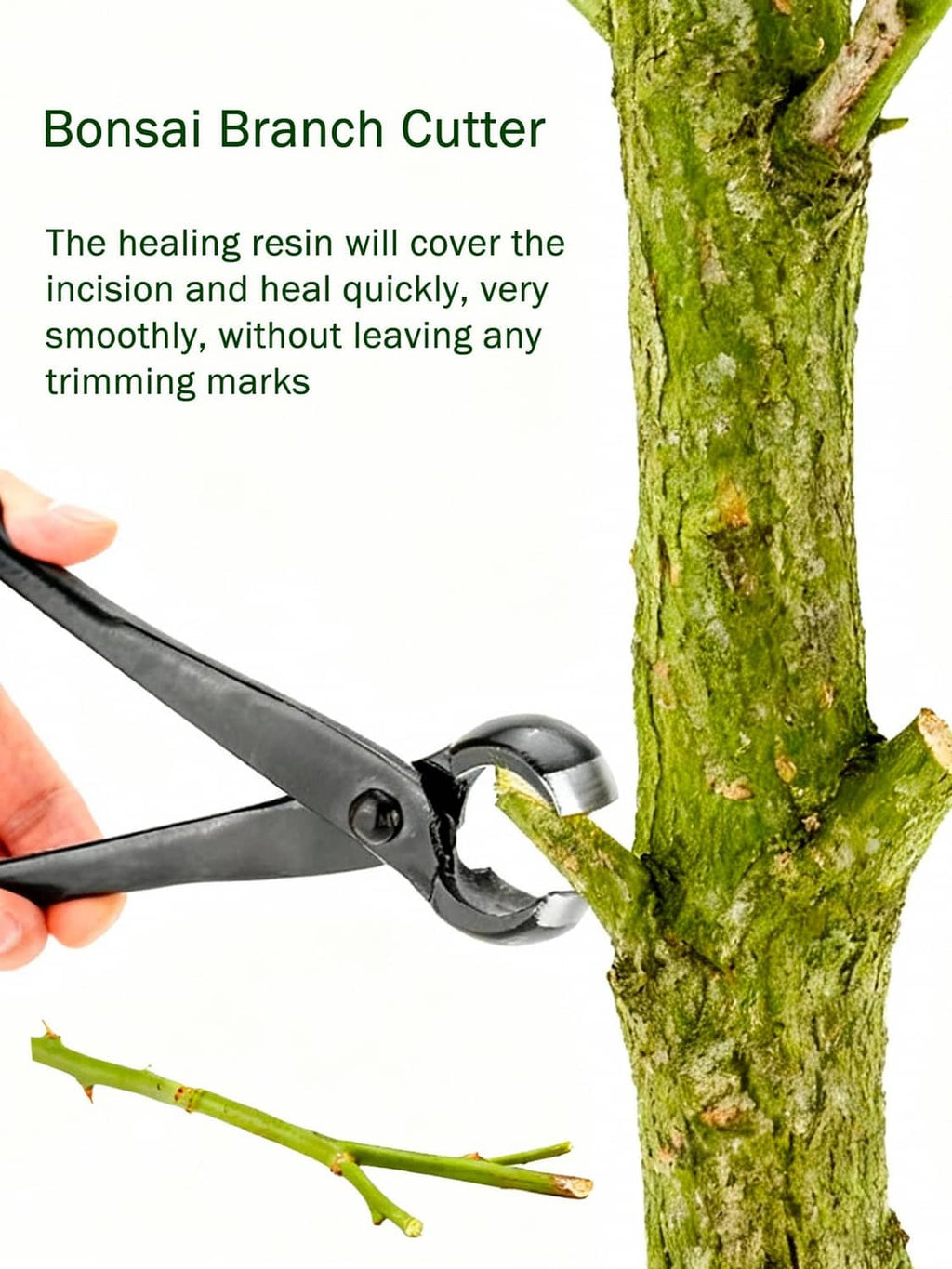 Bonsai concave cutter trimming a tree branch with concave cutting head