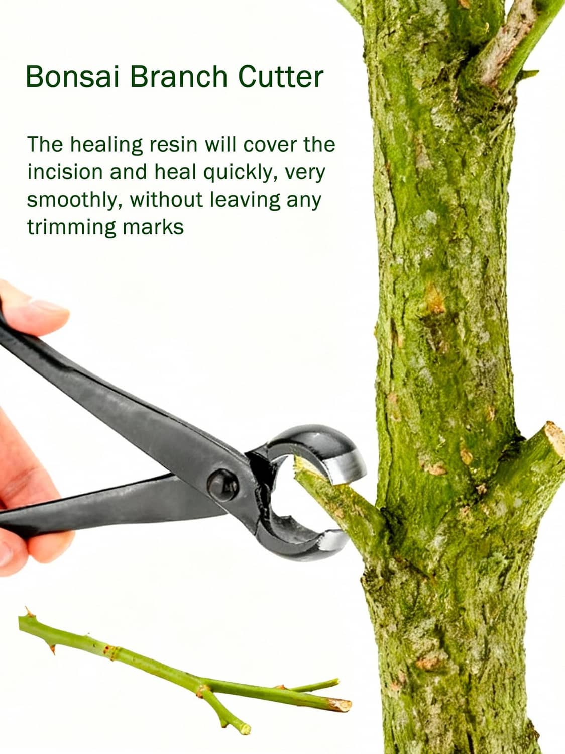 Bonsai concave cutter trimming a tree branch with concave cutting head