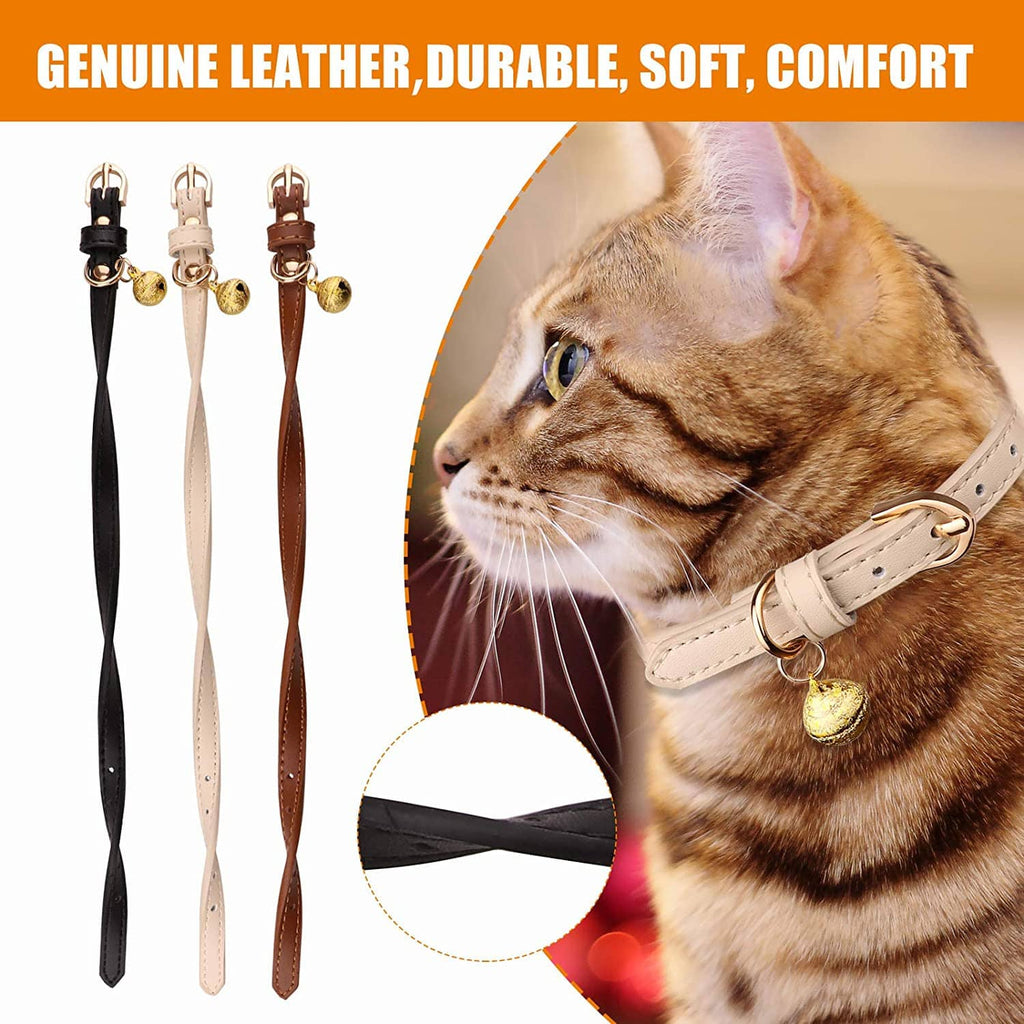 Cat wearing light tan leather collar with a gold bell; matching straps shown