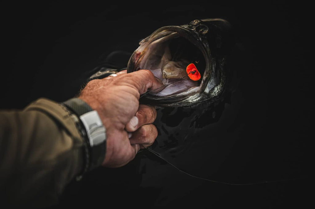 Green pumpkin hollow-body frog fishing lure with red eyes, held by a hand
