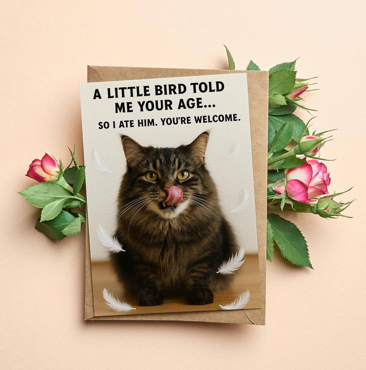 Funny birthday card with tabby cat and feathers, kraft envelope with rose decor