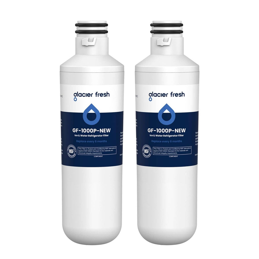 Water filter cartridges, white and blue labels, two-count pack