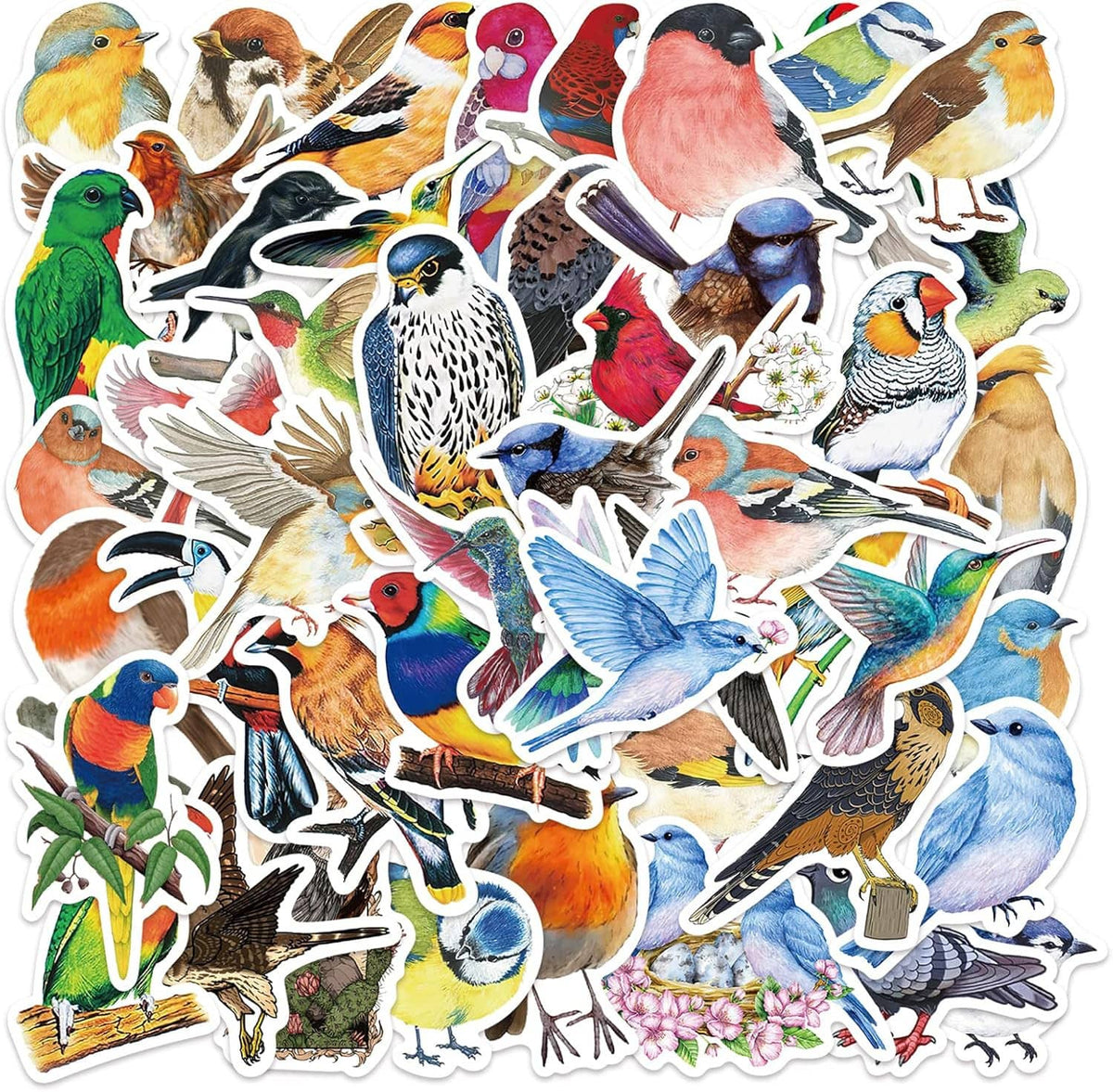 Assorted colorful bird vinyl stickers with waterproof outdoor designs, various shapes