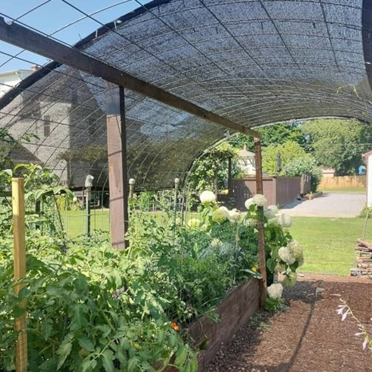 Overhead dark shade cloth canopy spanning a garden row