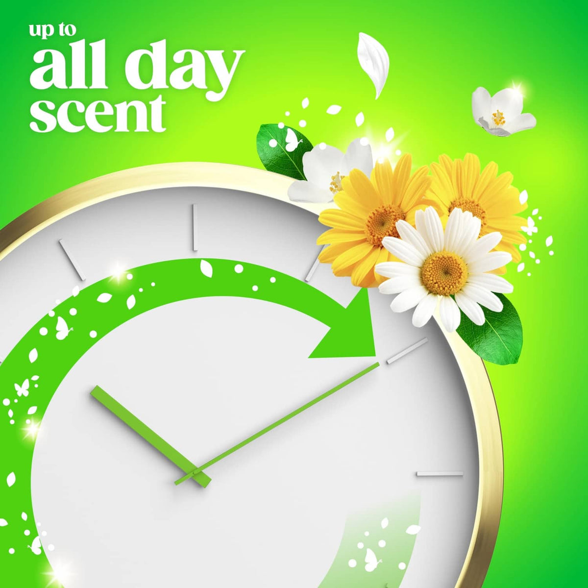 Gain flings original scent timer graphic with white and yellow flowers